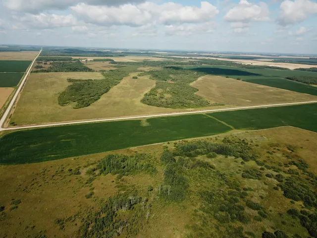 $315,000 | Tbd Tbd 220th Avenue, Badger, MN 56714