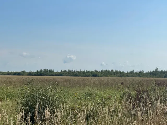 $315,000 | Tbd 220th Street, Badger, MN 56714