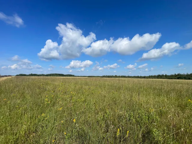 $315,000 | Tbd 220th Street, Badger, MN 56714