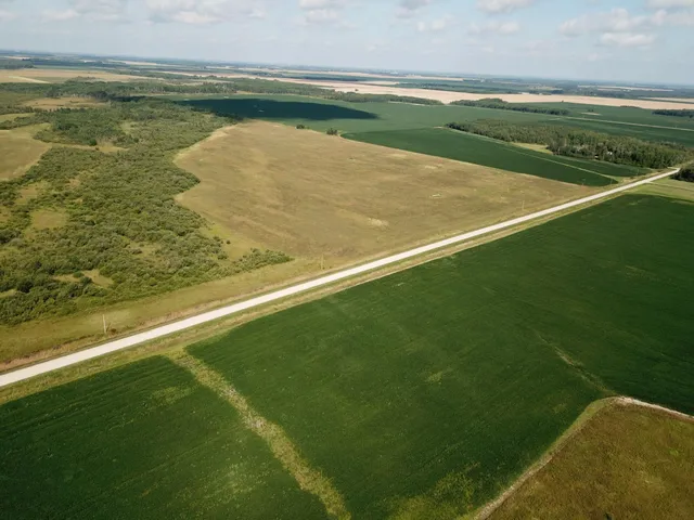 $315,000 | Tbd Tbd 220th Avenue, Badger, MN 56714