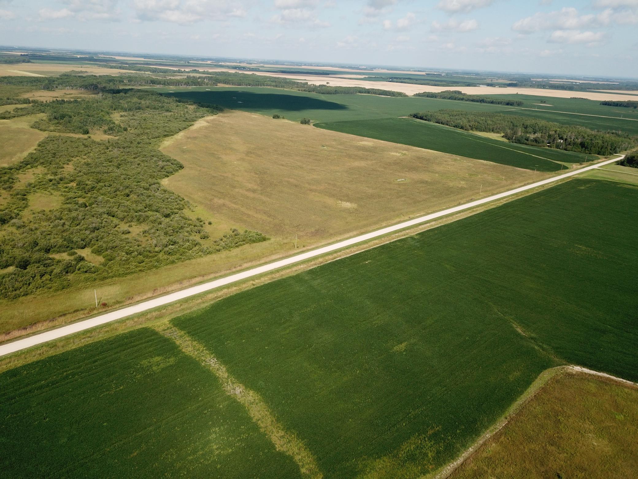 Tbd Tbd 220th Avenue Badger, MN 56714 - Photo 30 of 55