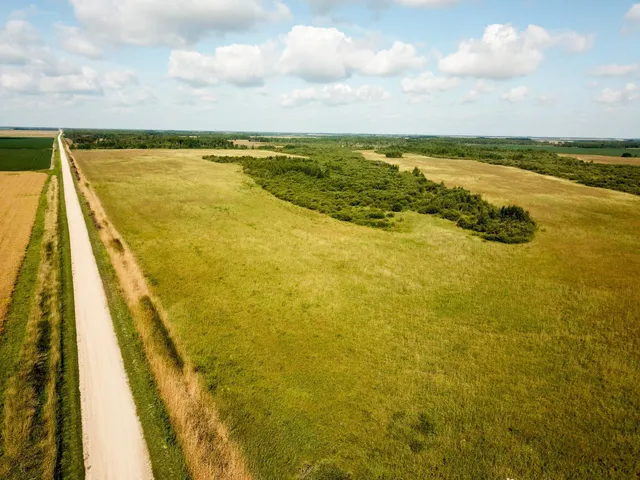 $315,000 | Tbd 220th Street, Badger, MN 56714