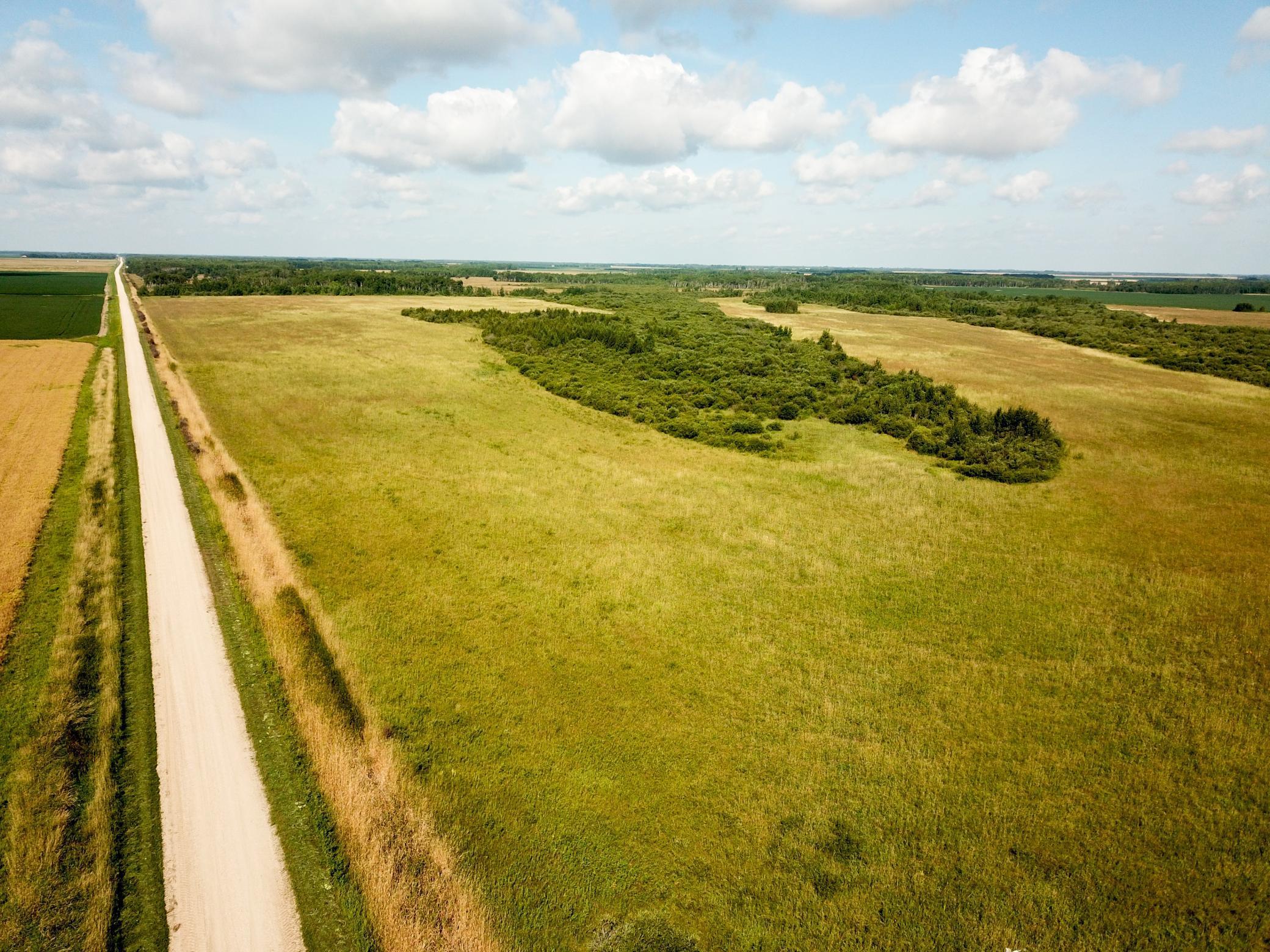 Tbd 220th Street Badger, MN 56714 - Photo 3 of 57