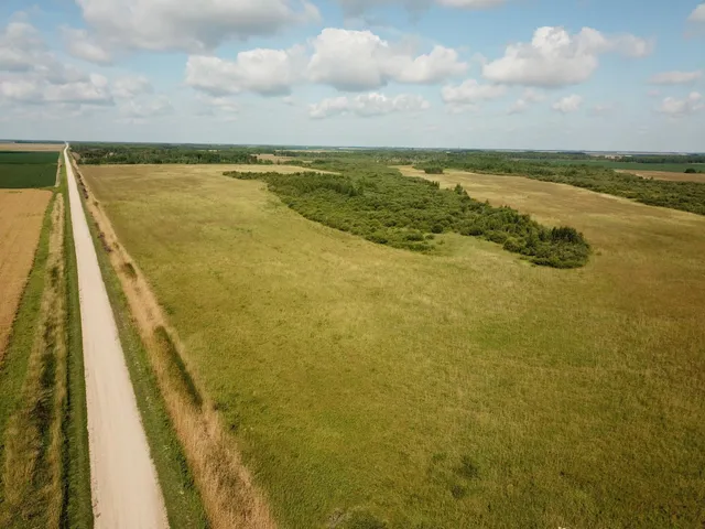 $315,000 | Tbd Tbd 220th Avenue, Badger, MN 56714