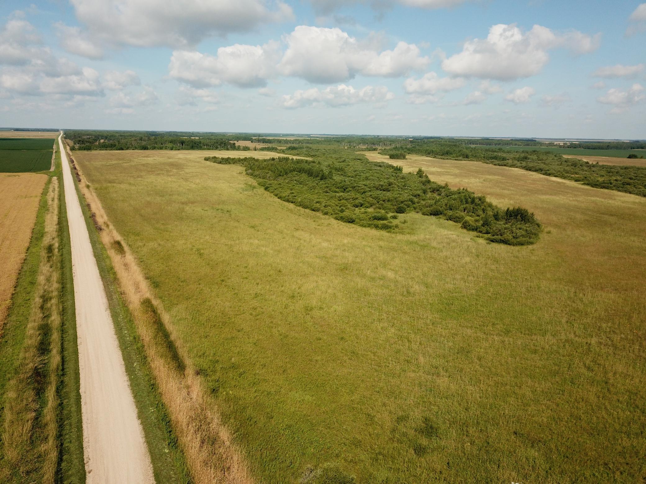 Tbd Tbd 220th Avenue Badger, MN 56714 - Photo 3 of 55