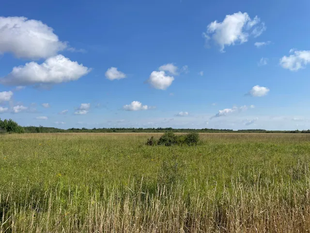 $315,000 | Tbd Tbd 220th Avenue, Badger, MN 56714