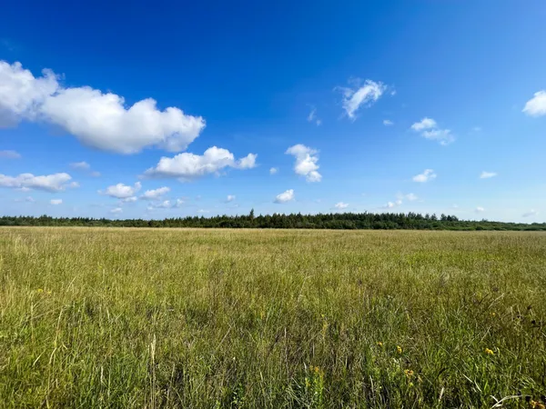 $315,000 | Tbd 220th Street, Badger, MN 56714