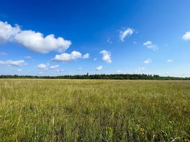 $315,000 | Tbd 220th Street, Badger, MN 56714