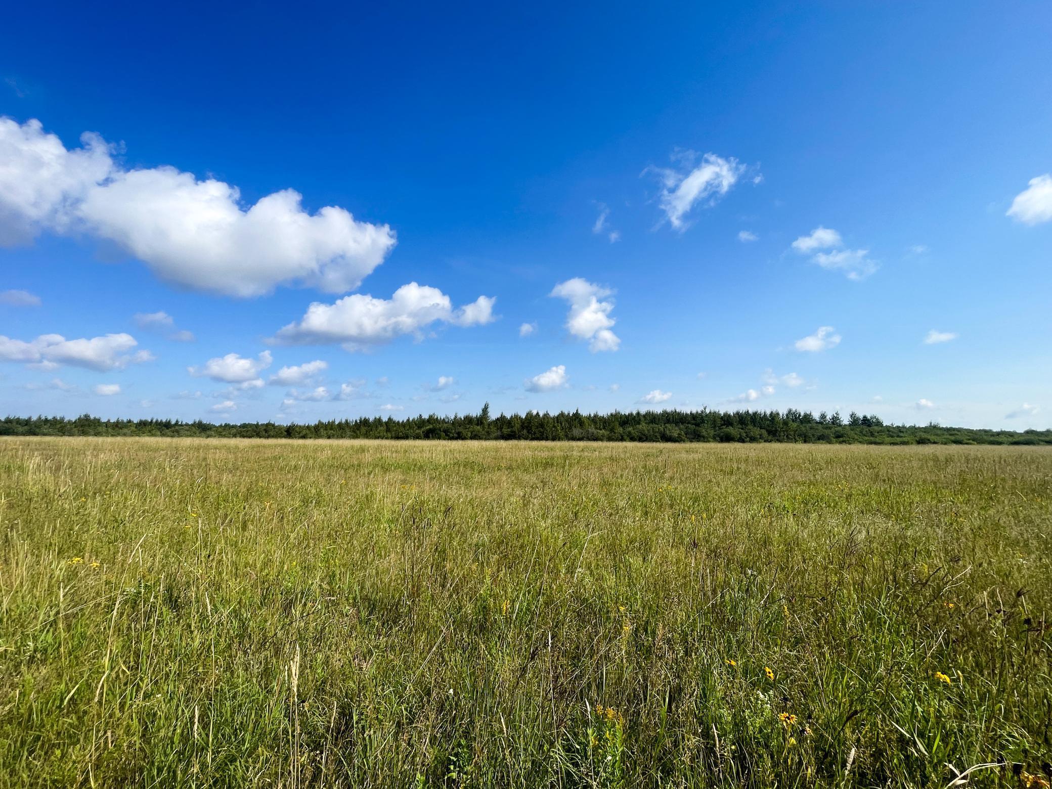Tbd 220th Street Badger, MN 56714 - Photo 31 of 57