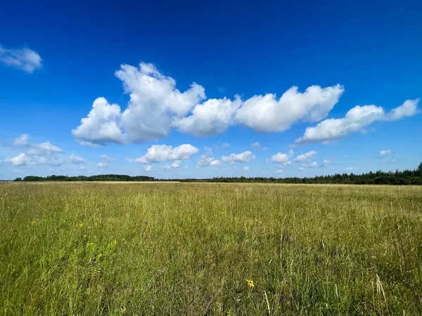 $315,000 | Tbd 220th Street, Badger, MN 56714