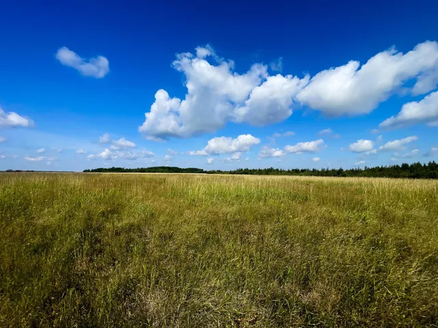 $315,000 | Tbd 220th Street, Badger, MN 56714