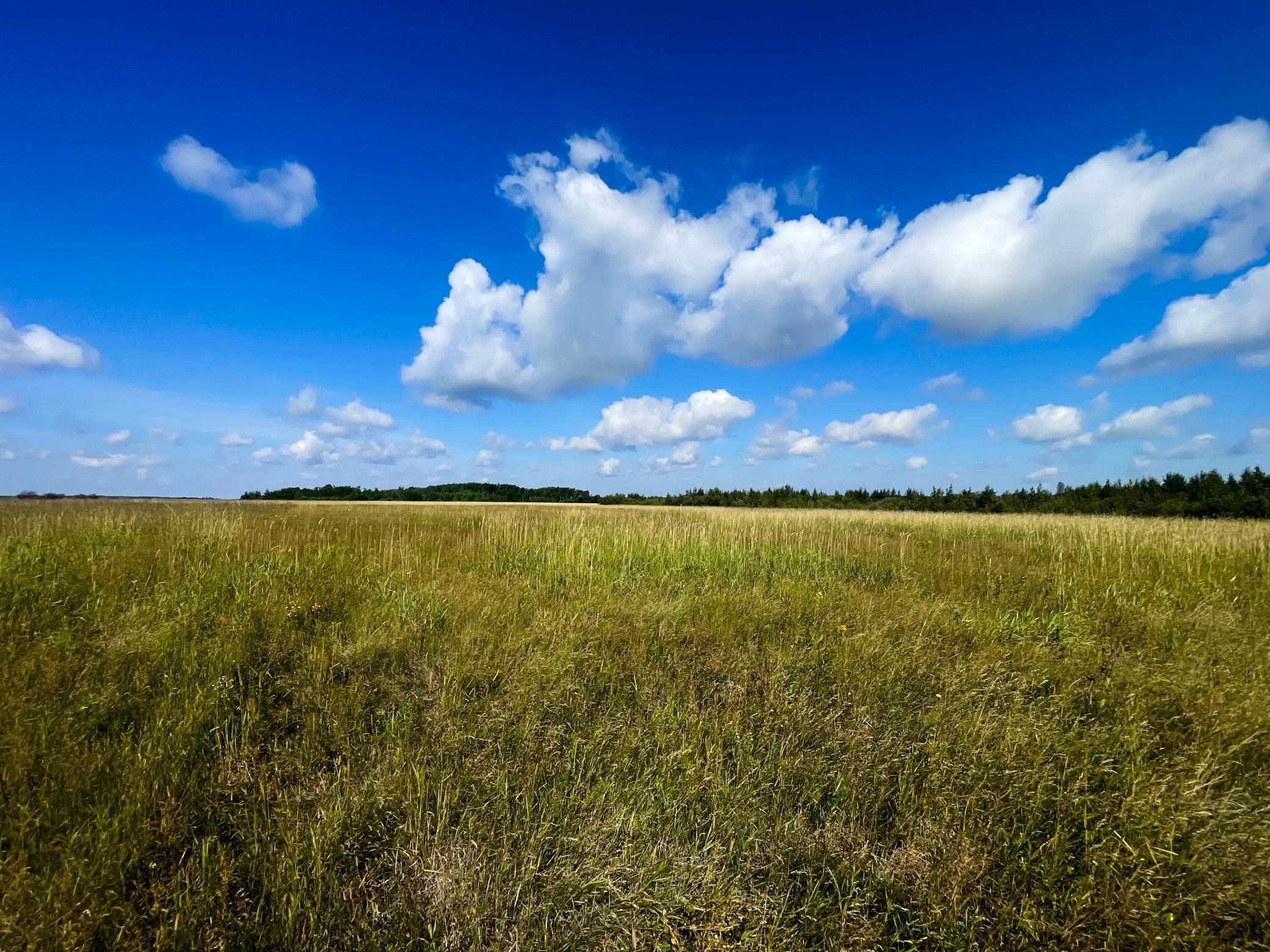 Tbd 220th Street Badger, MN 56714 - Photo 33 of 57
