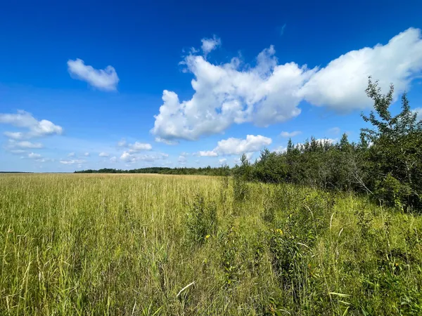 $315,000 | Tbd 220th Street, Badger, MN 56714