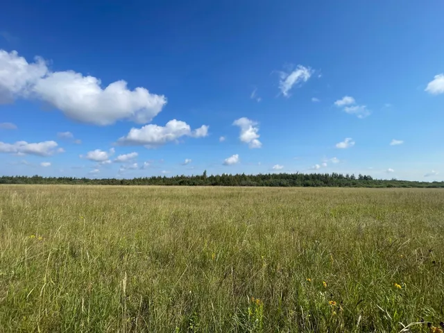 $315,000 | Tbd Tbd 220th Avenue, Badger, MN 56714