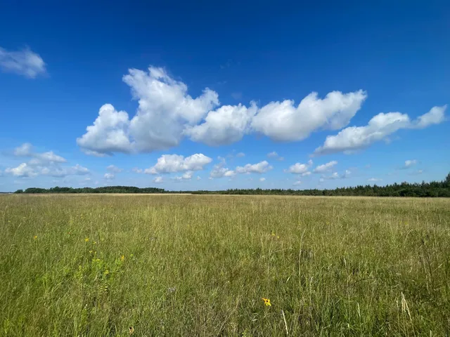 $315,000 | Tbd Tbd 220th Avenue, Badger, MN 56714
