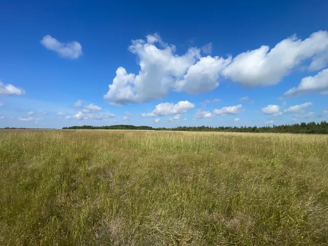 $315,000 | Tbd Tbd 220th Avenue, Badger, MN 56714