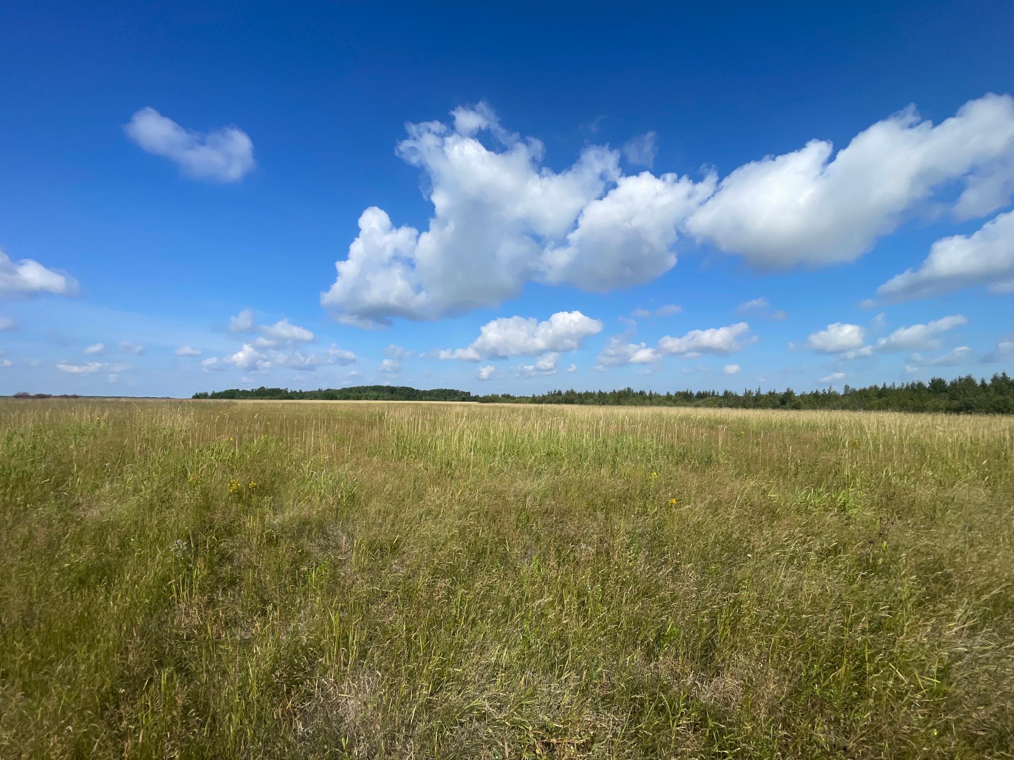 Tbd Tbd 220th Avenue Badger, MN 56714 - Photo 37 of 55