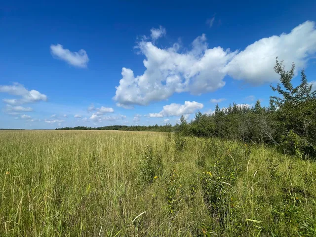 $315,000 | Tbd Tbd 220th Avenue, Badger, MN 56714
