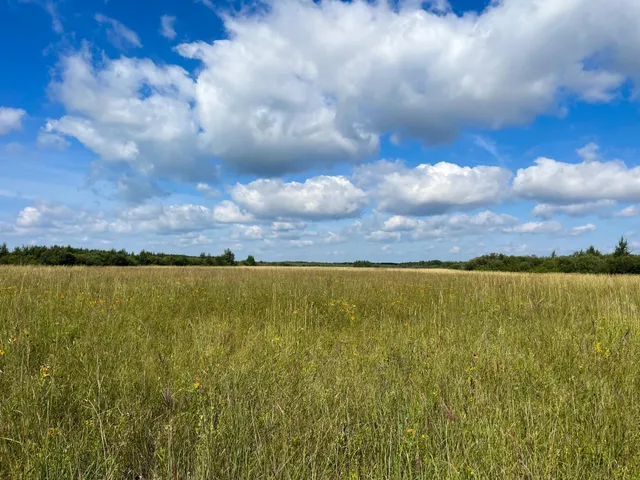 $315,000 | Tbd 220th Street, Badger, MN 56714