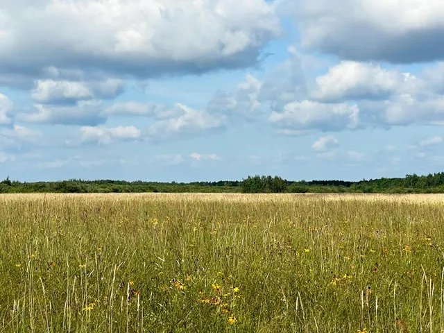 $315,000 | Tbd 220th Street, Badger, MN 56714