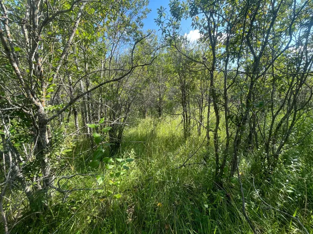 $315,000 | Tbd Tbd 220th Avenue, Badger, MN 56714