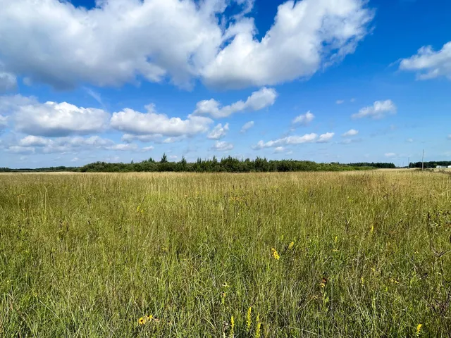 $315,000 | Tbd 220th Street, Badger, MN 56714