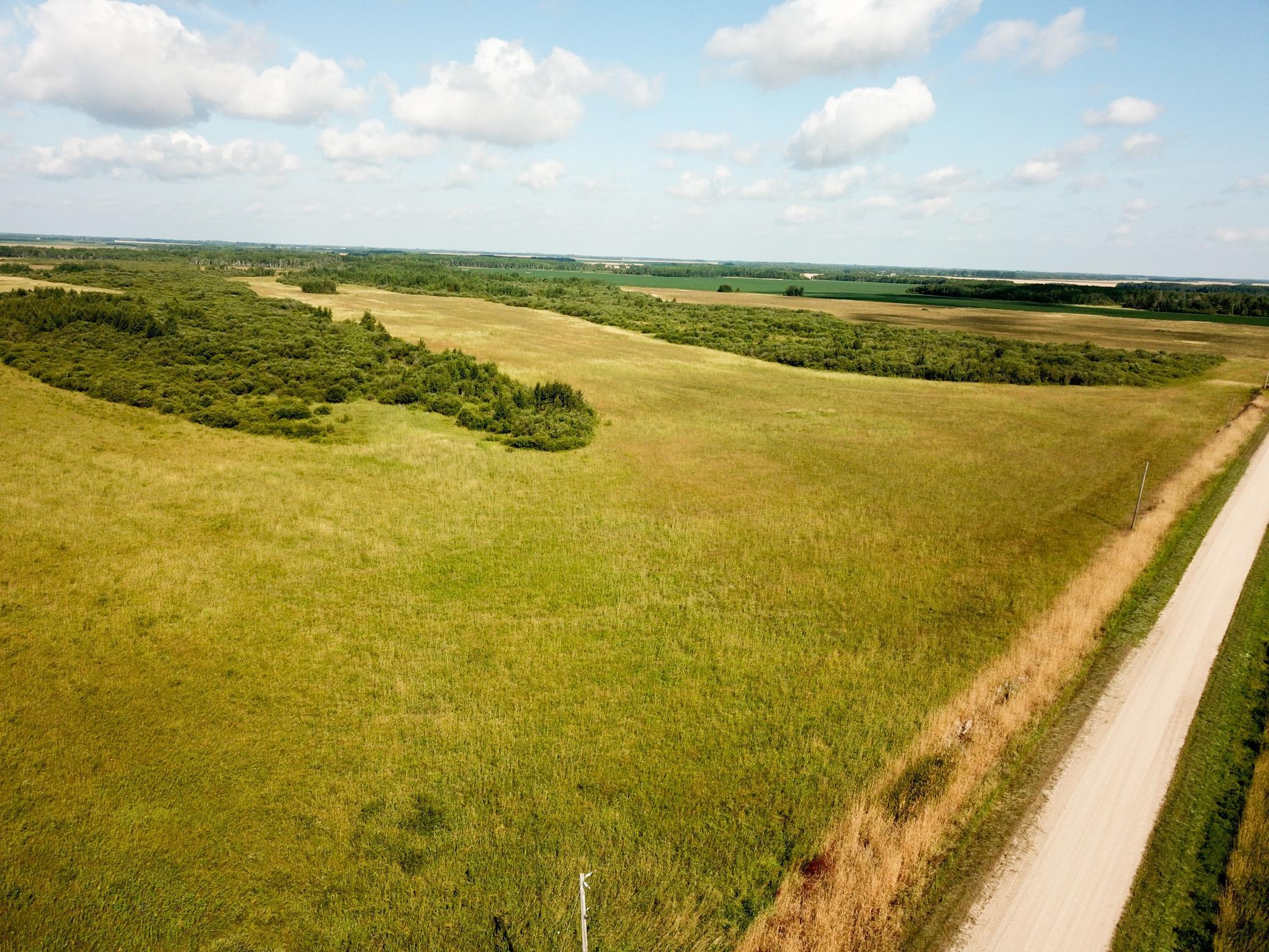 Tbd 220th Street Badger, MN 56714 - Photo 4 of 57