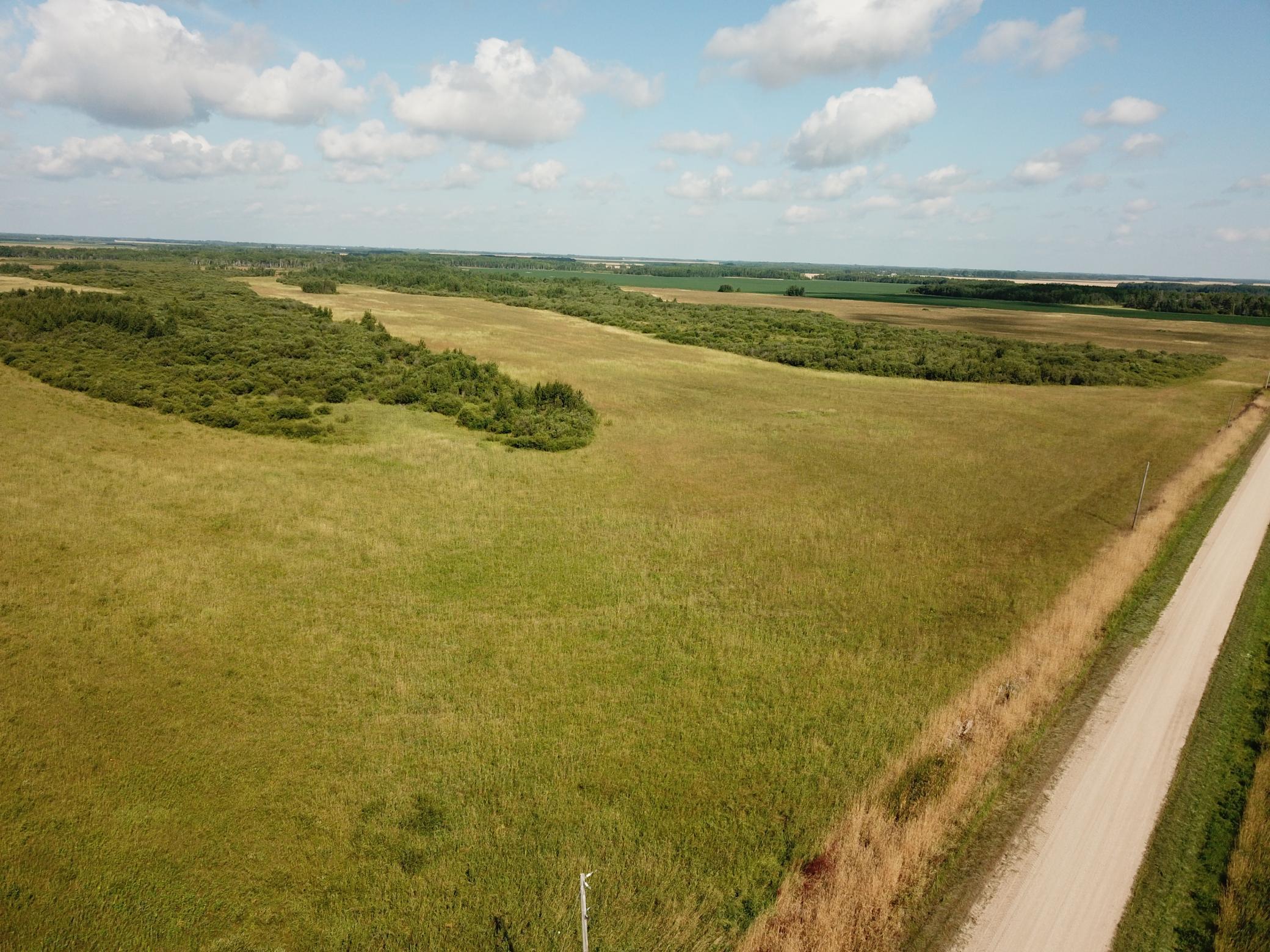 Tbd Tbd 220th Avenue Badger, MN 56714 - Photo 4 of 55