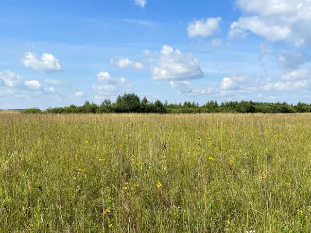 $315,000 | Tbd 220th Street, Badger, MN 56714