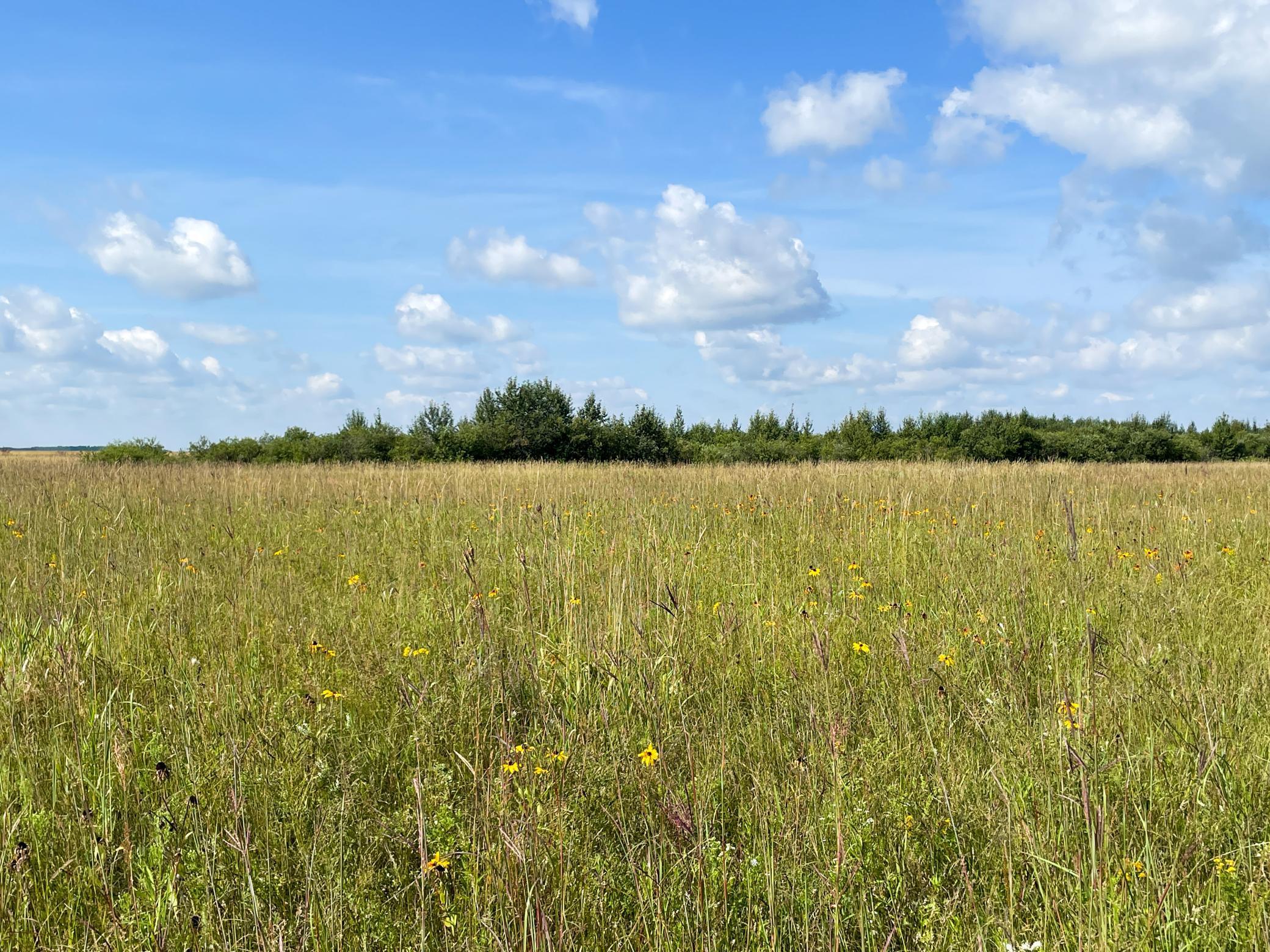 Tbd 220th Street Badger, MN 56714 - Photo 41 of 57