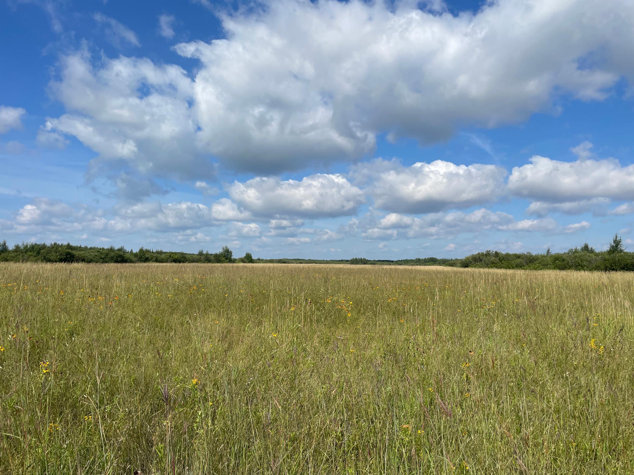 Tbd Tbd 220th Avenue Badger, MN 56714 - Photo 42 of 55