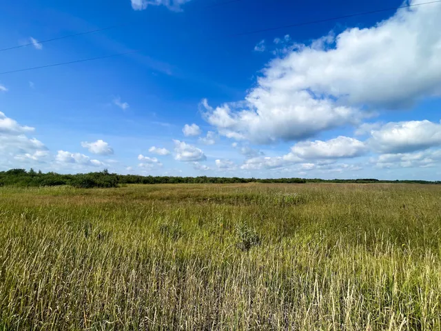 $315,000 | Tbd 220th Street, Badger, MN 56714