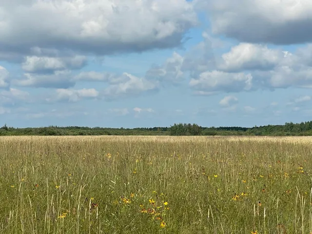 $315,000 | Tbd Tbd 220th Avenue, Badger, MN 56714