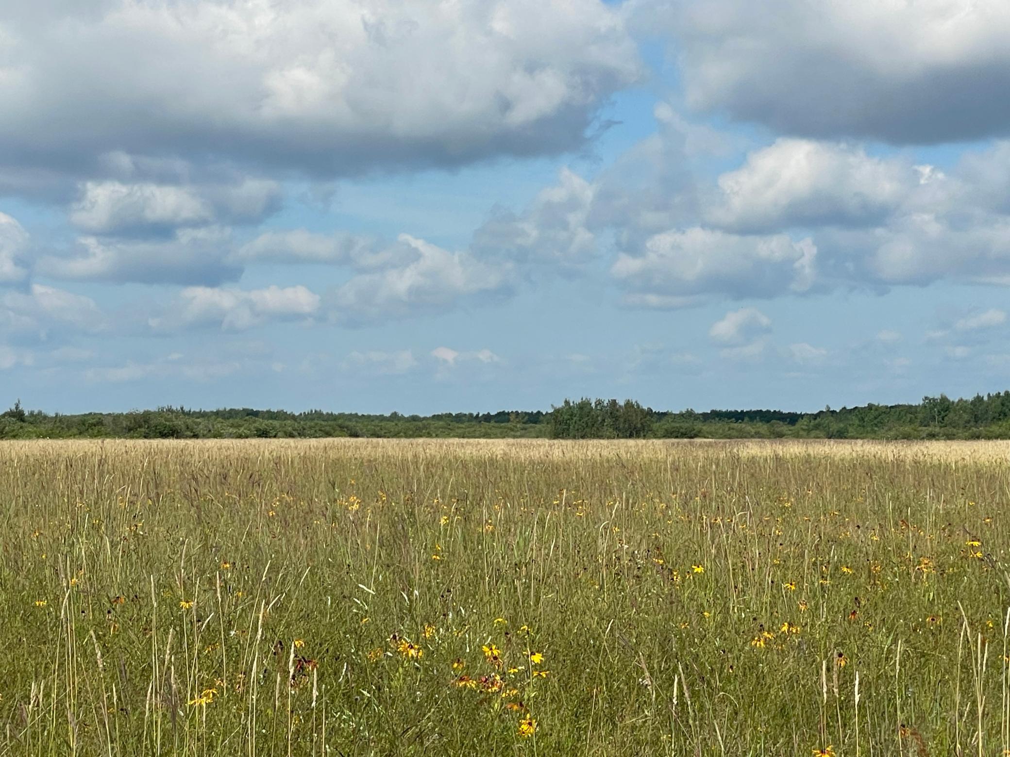 Tbd Tbd 220th Avenue Badger, MN 56714 - Photo 43 of 55