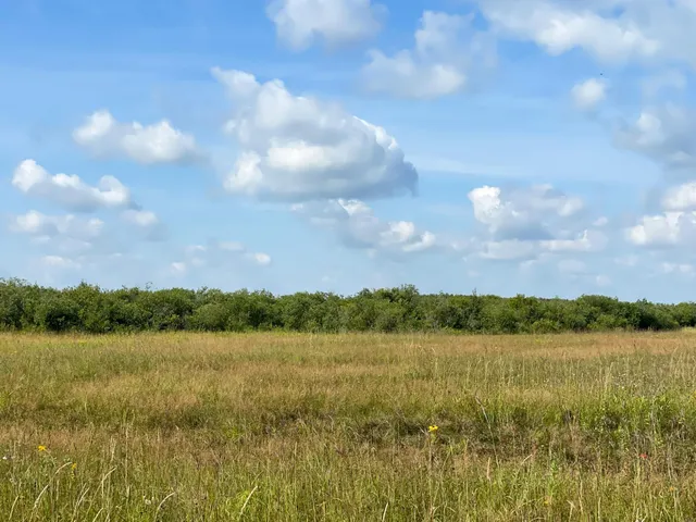 $315,000 | Tbd 220th Street, Badger, MN 56714