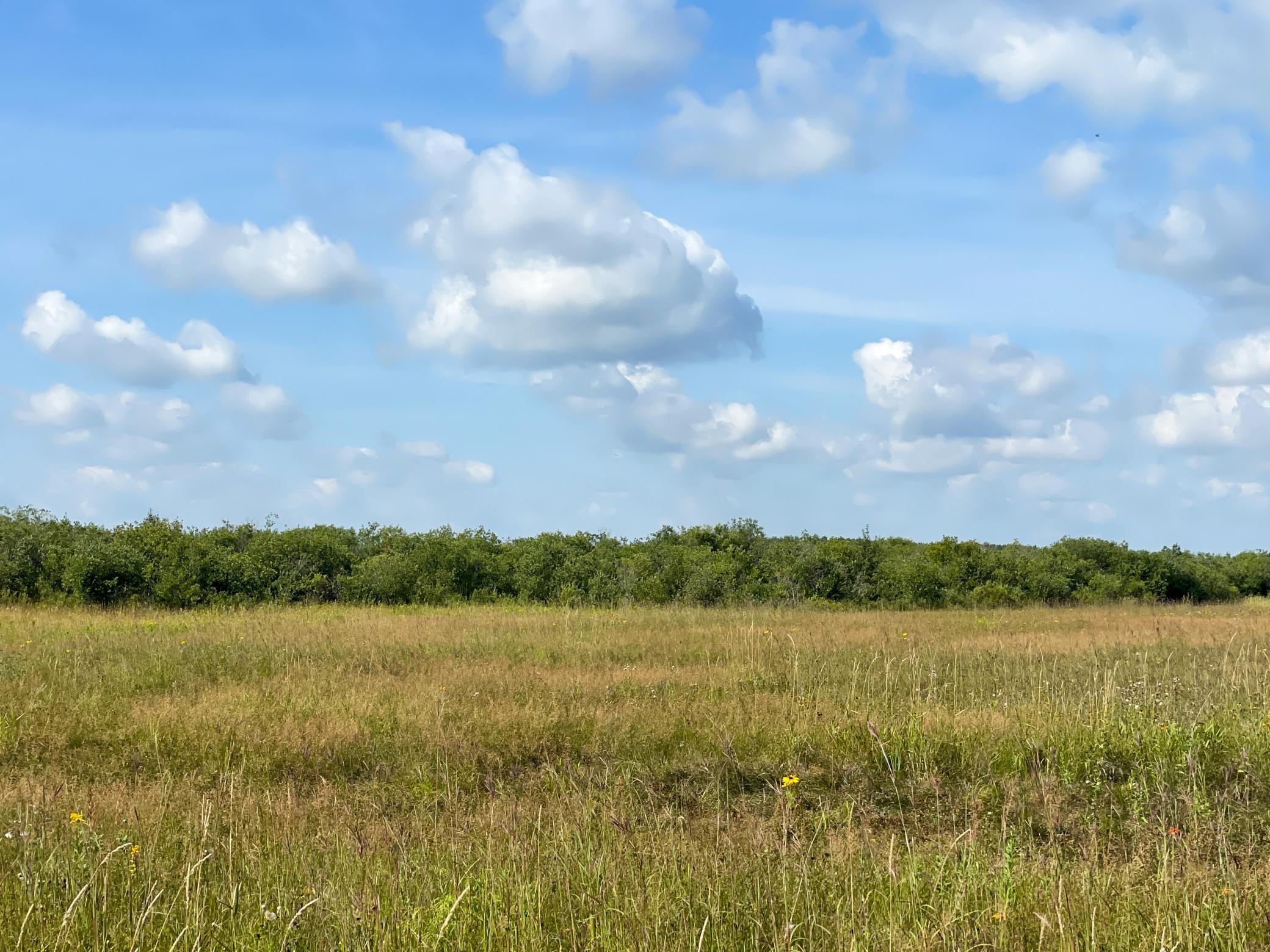 Tbd 220th Street Badger, MN 56714 - Photo 43 of 57