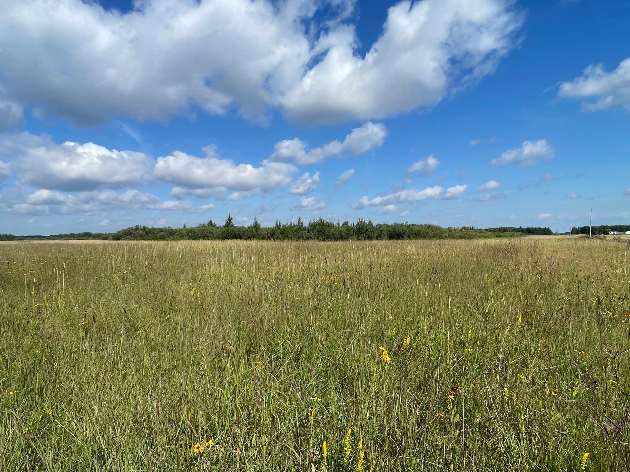 Tbd Tbd 220th Avenue Badger, MN 56714 - Photo 44 of 55