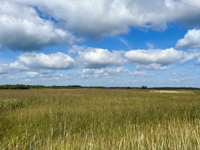 $315,000 | Tbd 220th Street, Badger, MN 56714