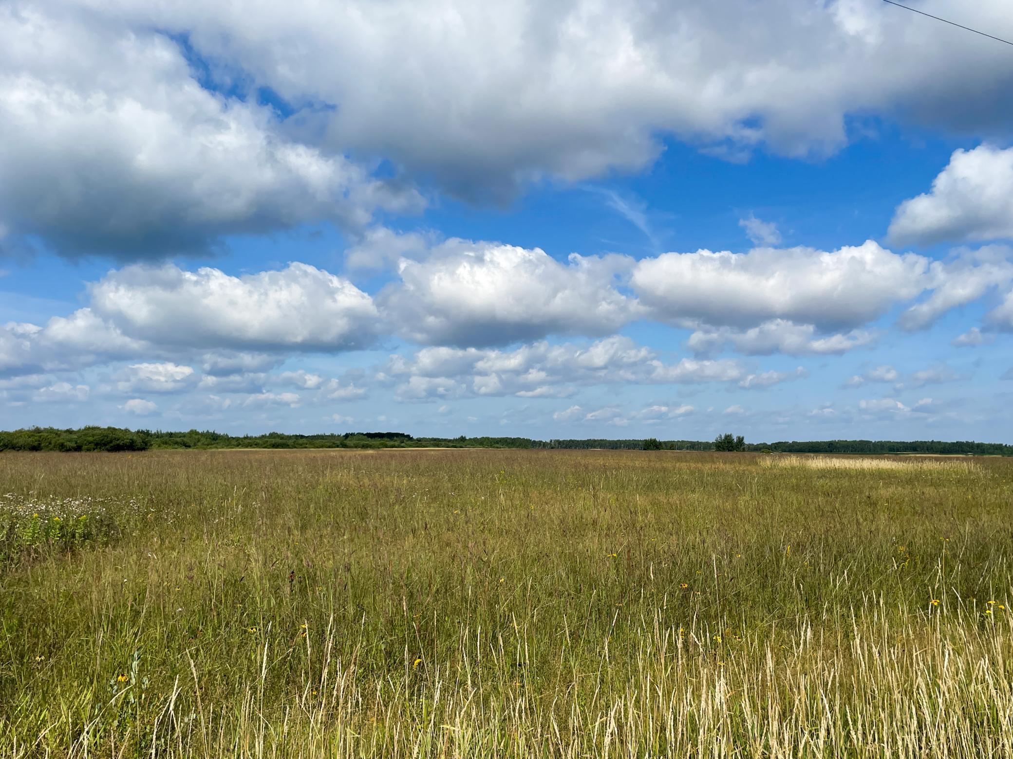 Tbd 220th Street Badger, MN 56714 - Photo 44 of 57