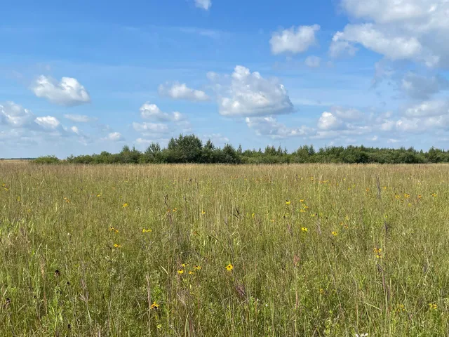 $315,000 | Tbd Tbd 220th Avenue, Badger, MN 56714
