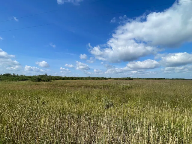 $315,000 | Tbd Tbd 220th Avenue, Badger, MN 56714