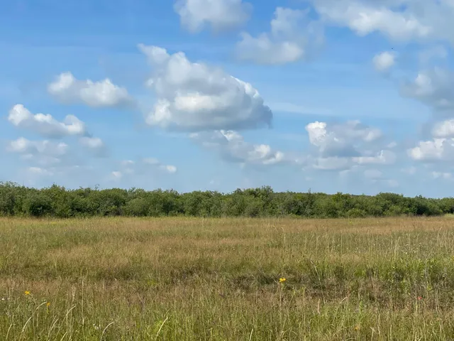 $315,000 | Tbd Tbd 220th Avenue, Badger, MN 56714