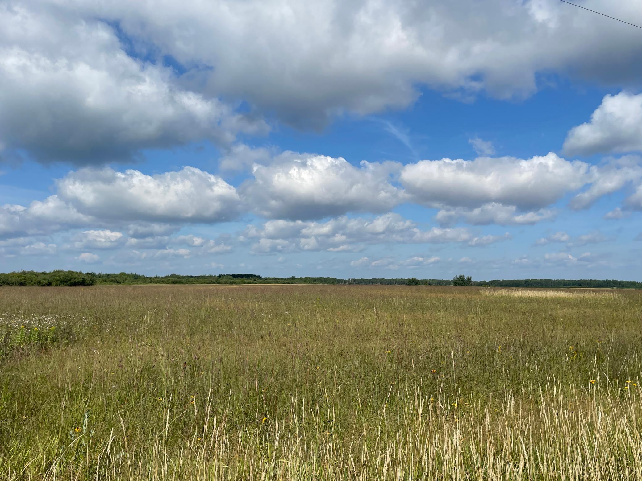 Tbd Tbd 220th Avenue Badger, MN 56714 - Photo 48 of 55