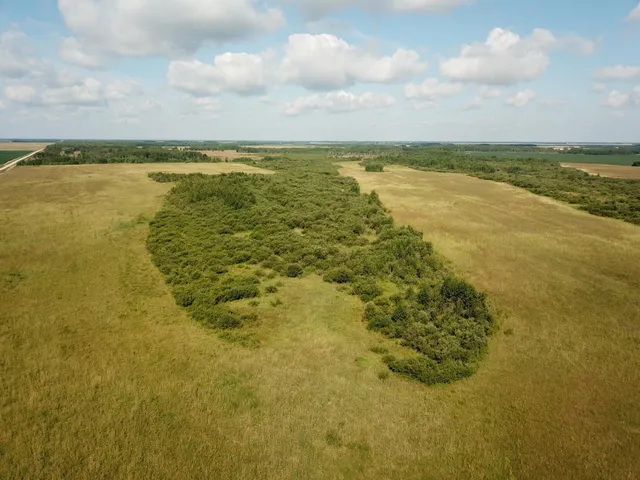 $315,000 | Tbd Tbd 220th Avenue, Badger, MN 56714