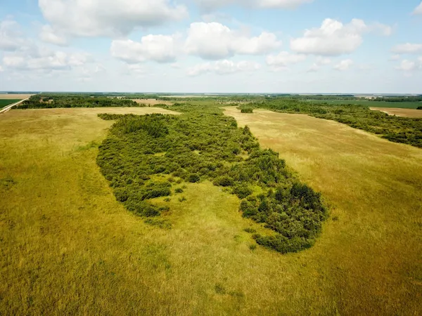 $315,000 | Tbd 220th Street, Badger, MN 56714