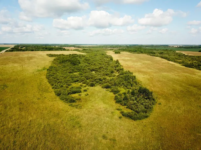 $315,000 | Tbd 220th Street, Badger, MN 56714