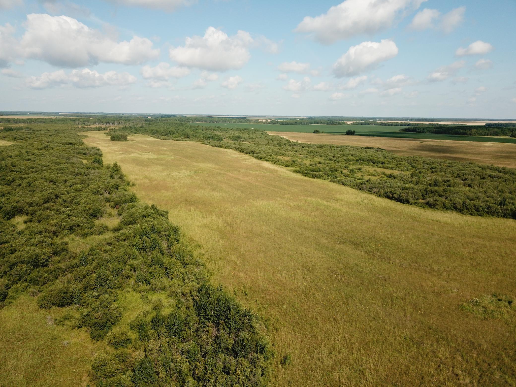 Tbd Tbd 220th Avenue Badger, MN 56714 - Photo 6 of 55