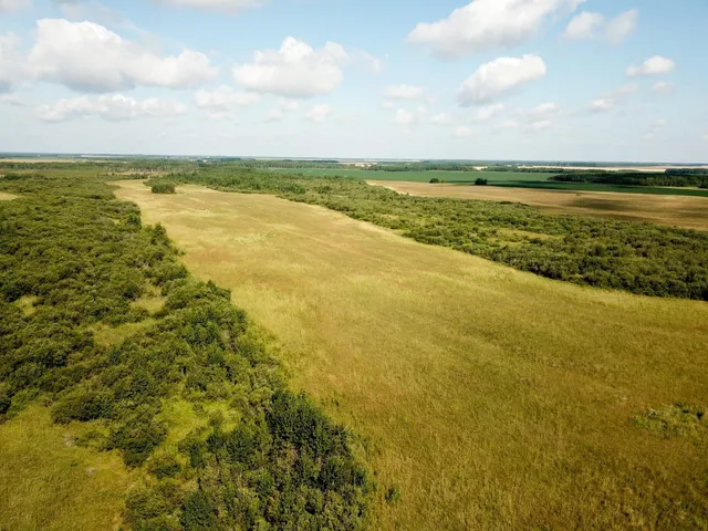 $315,000 | Tbd 220th Street, Badger, MN 56714