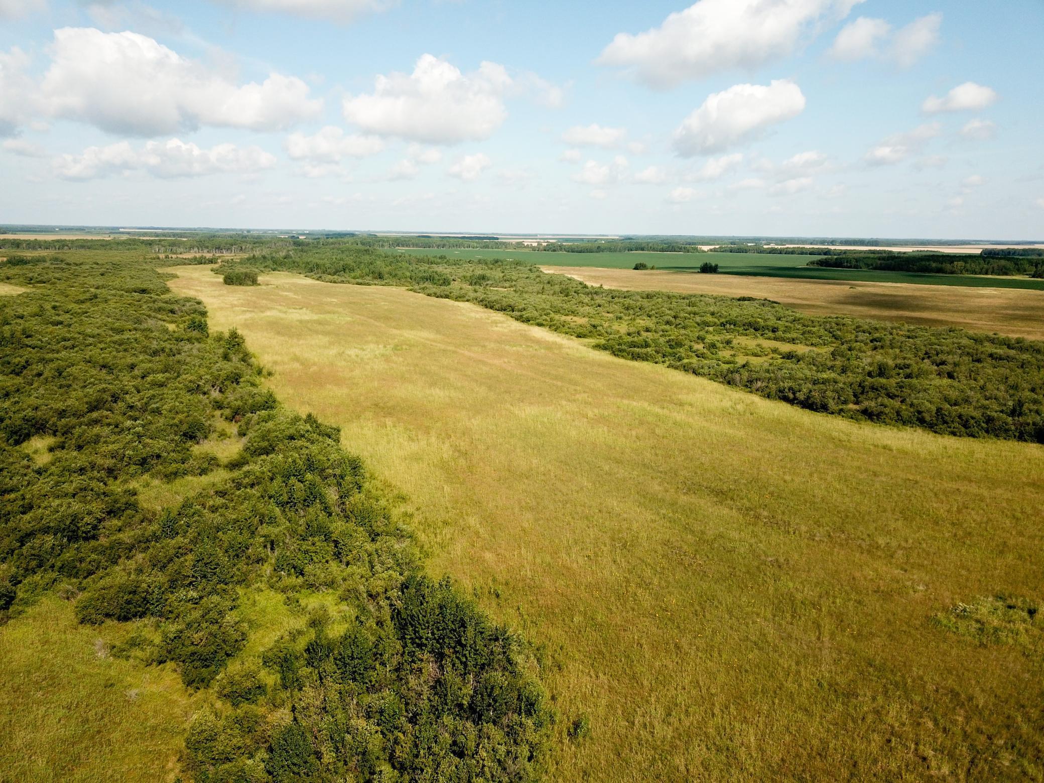 Tbd 220th Street Badger, MN 56714 - Photo 6 of 57
