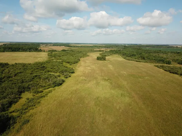 $315,000 | Tbd Tbd 220th Avenue, Badger, MN 56714